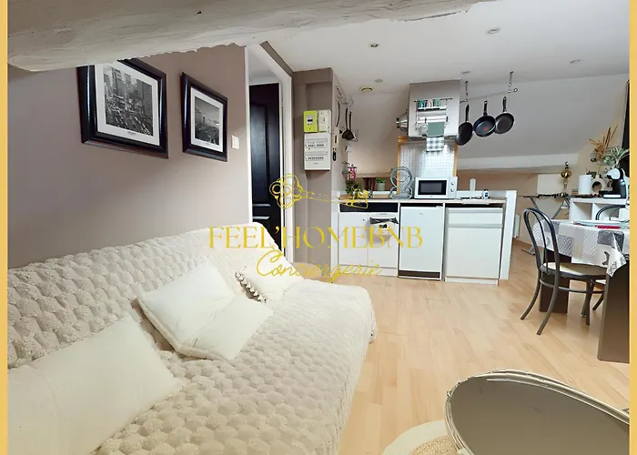 Apartment Le Petit Stanislas Downtown Free Coffee *